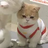 bibimimimumu