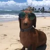 nnnnnnnnnuts