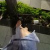 sby_011