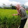 husainal620