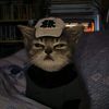 mostafa.mohammad65