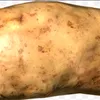 some_potato43