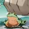 zeppelifrog