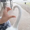 _ajd3333