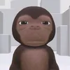 _tgo209