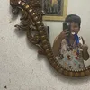 phoenixthepro