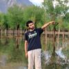 offxsyed217