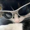 laxman__066
