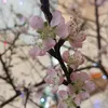 hieu_nguyen.86