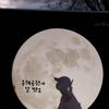 sungjunoh86