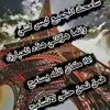 girzi67j