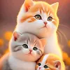 umarwaleedbhatti