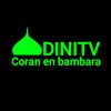 DINITV