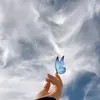 0_6sab