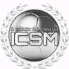 ilcalciosumisura
