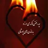 alirezasafaei01