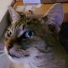 ms.kitty224