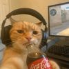 it_yourboyaydin