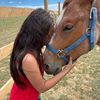 lovehorses154