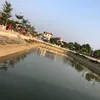 nguyenhoang210187