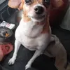 oscar.ayelli