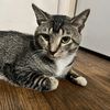 jway_23