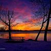 jessieredford7