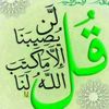 user55135530965336