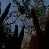 phanhnhnguyn4