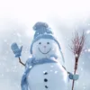 snow18_3