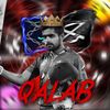 qalabz._.cricket