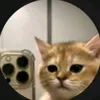 {Сосиска в Тесте😸}