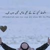 alihammad2648