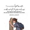 ali.sahar158