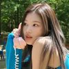 hak_dog271
