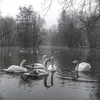 makhitova_m