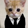 gato_mc_03