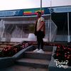 user33709225832531