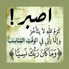 user5456369985248