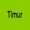 timur.us