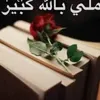 user6552400721441