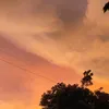 zkyyyr