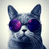 user55960326116067