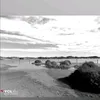 vetesimeconoces_12