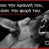 user2697480004509