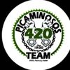 picaminosos420teamoficial
