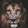 mrlaler_
