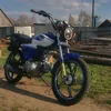 alpha_rx_48