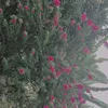 huong.thi31