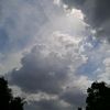 miguel_angel11132